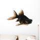 Black Moor Goldfish Wall Decal