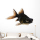 Black Moor Goldfish Wall Decal