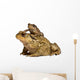 Mother Common Toad Wall Decal