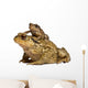 Mother Common Toad Wall Decal