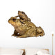Mother Common Toad Wall Decal