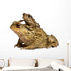Mother Common Toad Wall Decal