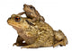 Mother Common Toad Wall Decal