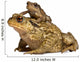 Mother Common Toad Wall Decal