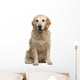 Golden Retriever Wall Decal