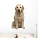 Golden Retriever Wall Decal