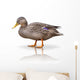 Stock Ente Wall Decal