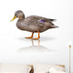 Stock Ente Wall Decal