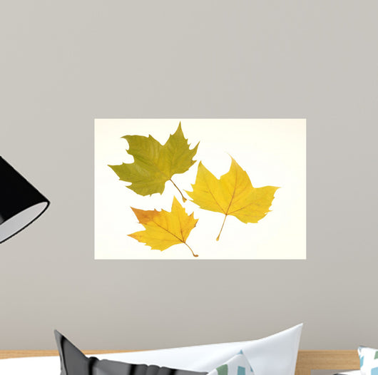 Herbstlaub