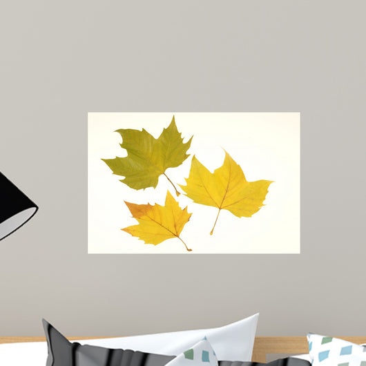 Herbstlaub