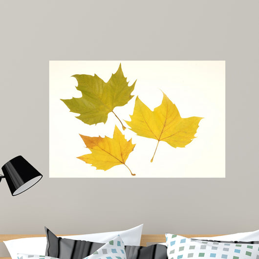 Herbstlaub