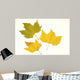 Herbstlaub