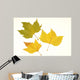 Herbstlaub