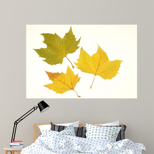 Herbstlaub