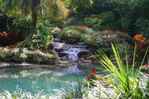 Tropical Pond Wall Decal