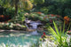 Tropical Pond Wall Decal