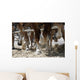 Draft Horse Hooves in Action Wall Mural