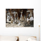 Draft Horse Hooves in Action Wall Mural