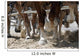 Draft Horse Hooves in Action Wall Mural