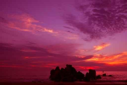 Sunset Wall Decal Design 5