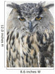 Eagle Owl Wall Mural