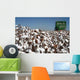 Cotton Fields Wall Decal Design 2