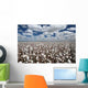 Cotton Fields Wall Decal Design 1