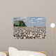 Cotton Fields Wall Mural