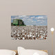 Cotton Fields Wall Mural