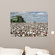 Cotton Fields Wall Mural