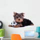 Yorkshire Terrier Puppy Wall Decal