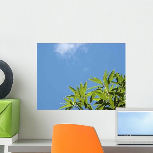 Feuilles Sur Fond Ciel Wall Decal