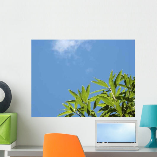Feuilles Sur Fond Ciel Wall Decal