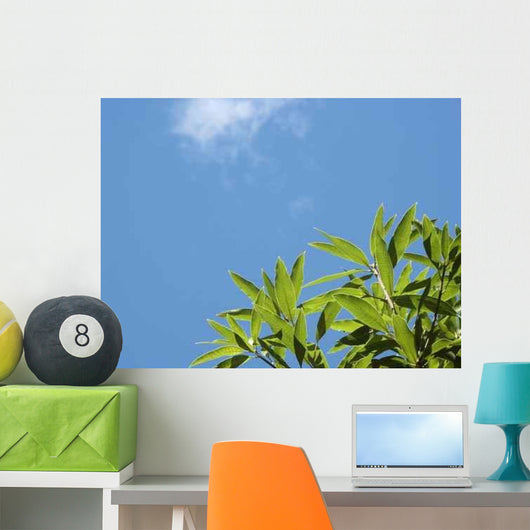 Feuilles Sur Fond Ciel Wall Decal