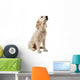 Chiot Golden Retriever Wall Decal
