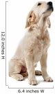 Chiot Golden Retriever Wall Decal