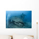 Scuba diver entering a shipwreck. Wall Mural