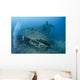 Scuba diver entering a shipwreck. Wall Mural