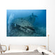 Scuba diver entering a shipwreck. Wall Mural
