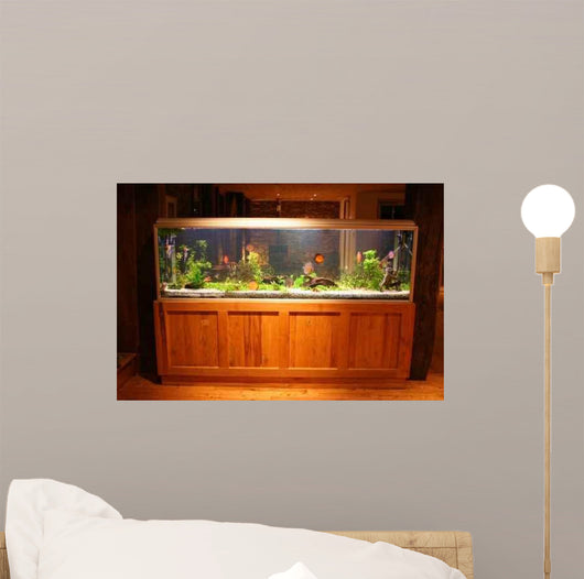 Fish Tank Wall Mural