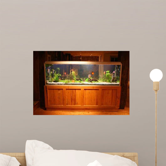 Fish Tank Wall Mural
