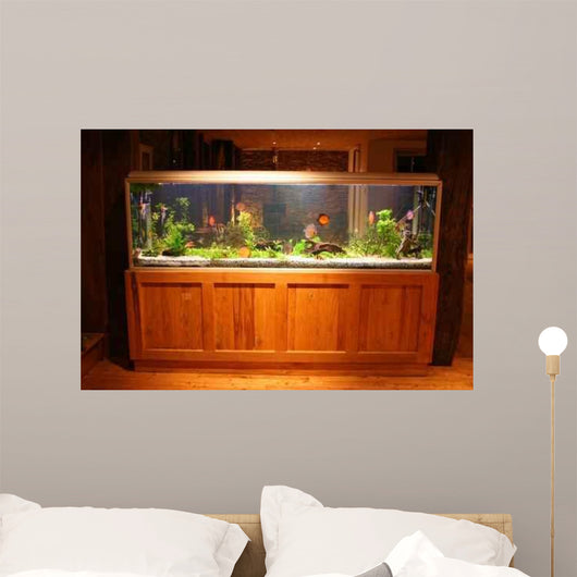 Fish Tank Wall Mural