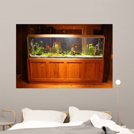Fish Tank Wall Mural