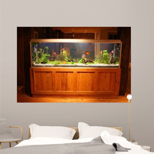 Fish Tank Wall Mural