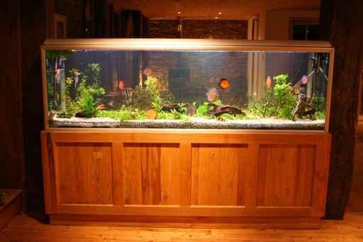 Fish Tank Wall Mural