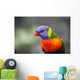 Sittich Wall Mural