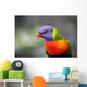 Sittich Wall Mural