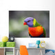Sittich Wall Mural