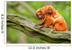 Cute Golden Lion Tamarin With Baby Wall Mural