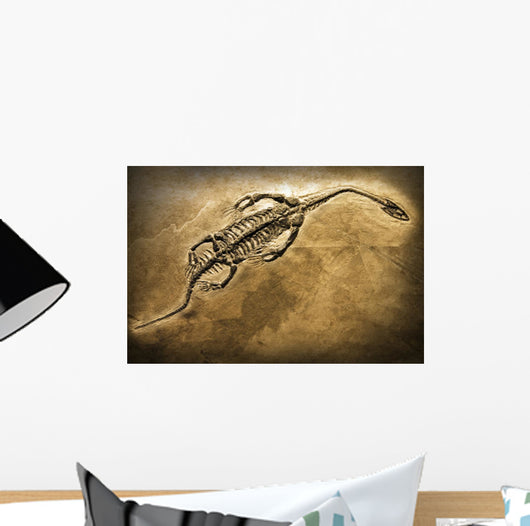 Fossil Wall Mural